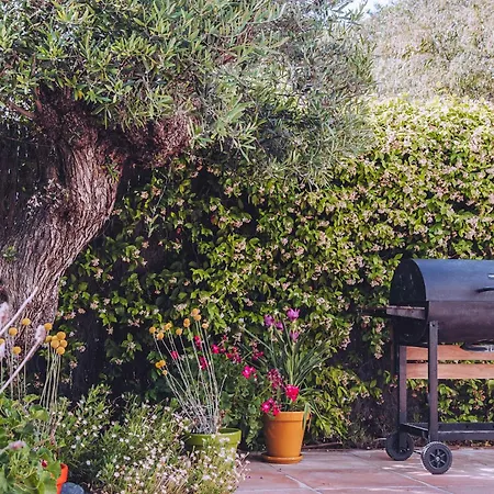 Casa vacanze Gem Of Guadalmina Alta Marbella