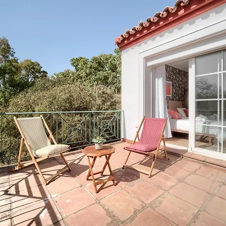 Gem Of Guadalmina Alta * Marbella