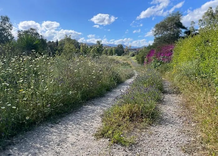 Dom wakacyjny Gem Of Guadalmina Alta Marbella